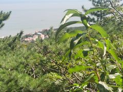 -崂山仰口游览区