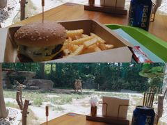 -上海野生动物园老虎餐厅
