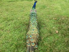 -三岔湖环球融创天堂洲际酒店水乐园