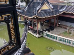 -碧江金楼