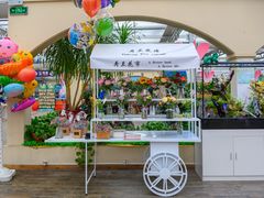 -荷兰花海