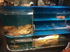 水产区-蟹田居·活蟹料理(东城店)