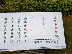 -澹台湖公园