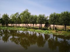 -东郊湿地公园