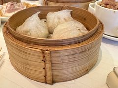 -美心皇宫(屯门大会堂店)