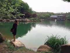 -白马涧龙池景区