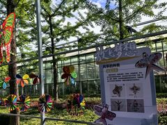 -南宫五洲植物乐园