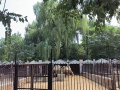 -保定市动物园