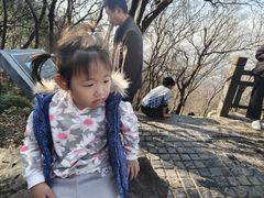 -紫金山山顶公园