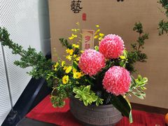 -深圳国际园林花卉博览园