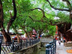 -小洲村