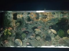 -苏州海洋馆