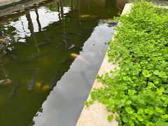 -侯臣咖啡文化村