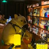 深夜放松一杯酒