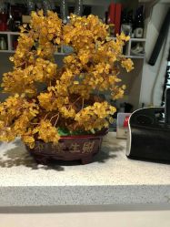 -素颜秀·纹眉·野生眉·纹唇半永久