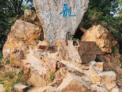 -惠山国家森林公园