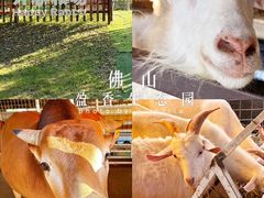 -盈香心动乐园