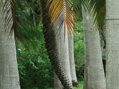 -人民公园(罗湖区)