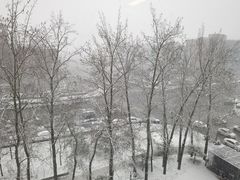 -锦尚阁烤鱼(望京新荟城店)