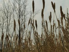 -昆山城市生态森林公园