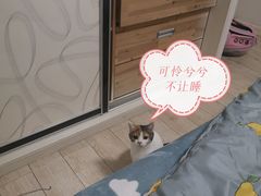 -杭州第一世界大酒店·云曼温泉