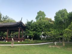 -东航云逸酒店(九溪烟树店)