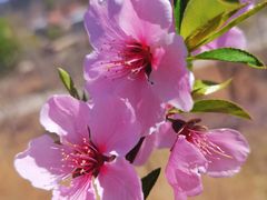-北京金海湖景区
