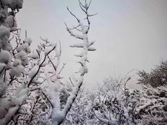 -灵山
