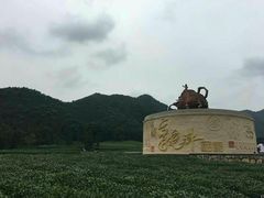 景点-龙井村