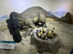 -国家自然博物馆