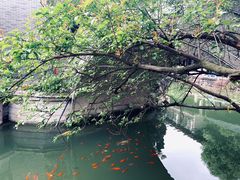 -龙潭水乡
