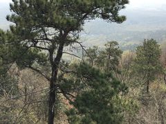 -紫金山天文台