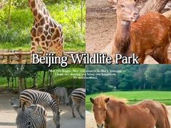 -北京野生动物园