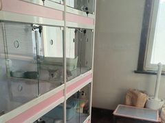 -Bastet sally猫舍购宠(静安店)