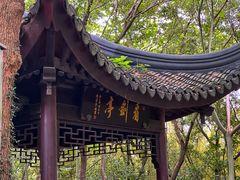 -上海佘山国家森林公园天马山园