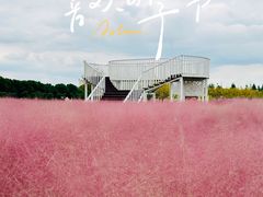 -嘉北郊野公园
