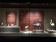 -宁夏博物馆