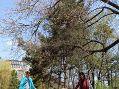 -吉林大学(南岭校区)