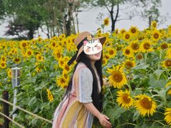 -苏州湾体育公园