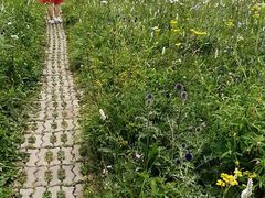 -白草畔自然风景区