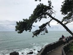 -海云台海滩