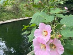 -共青国家森林公园-售票处