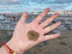 -莫内艺术岛海景咖啡