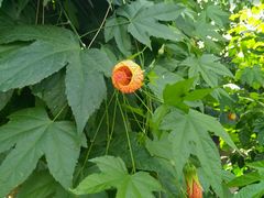 -天源吉布世温泉水乐园