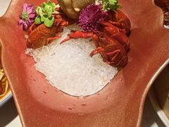 -杨氏青龙虾·羊蝎子(珠江路店)