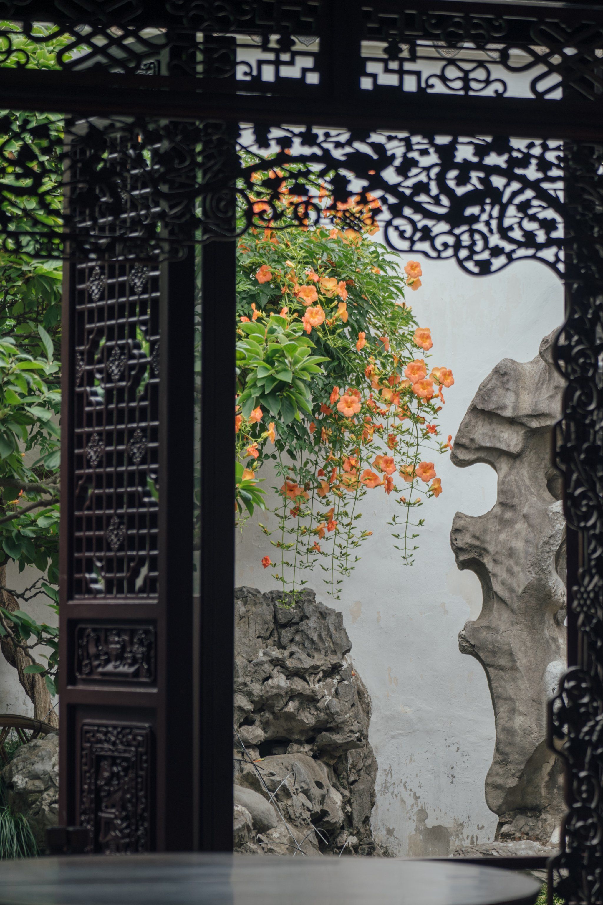 顶流中式美学75网师园花窗凌霄花果然没失望75