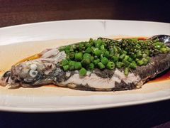 钱塘江白条-江礼·钱塘鱼鲜·精致萧山菜