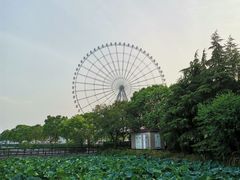 -蠡湖大桥公园