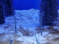 -芜湖新华联大白鲸海洋公园