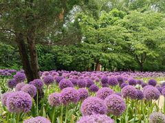 -沈阳植物园